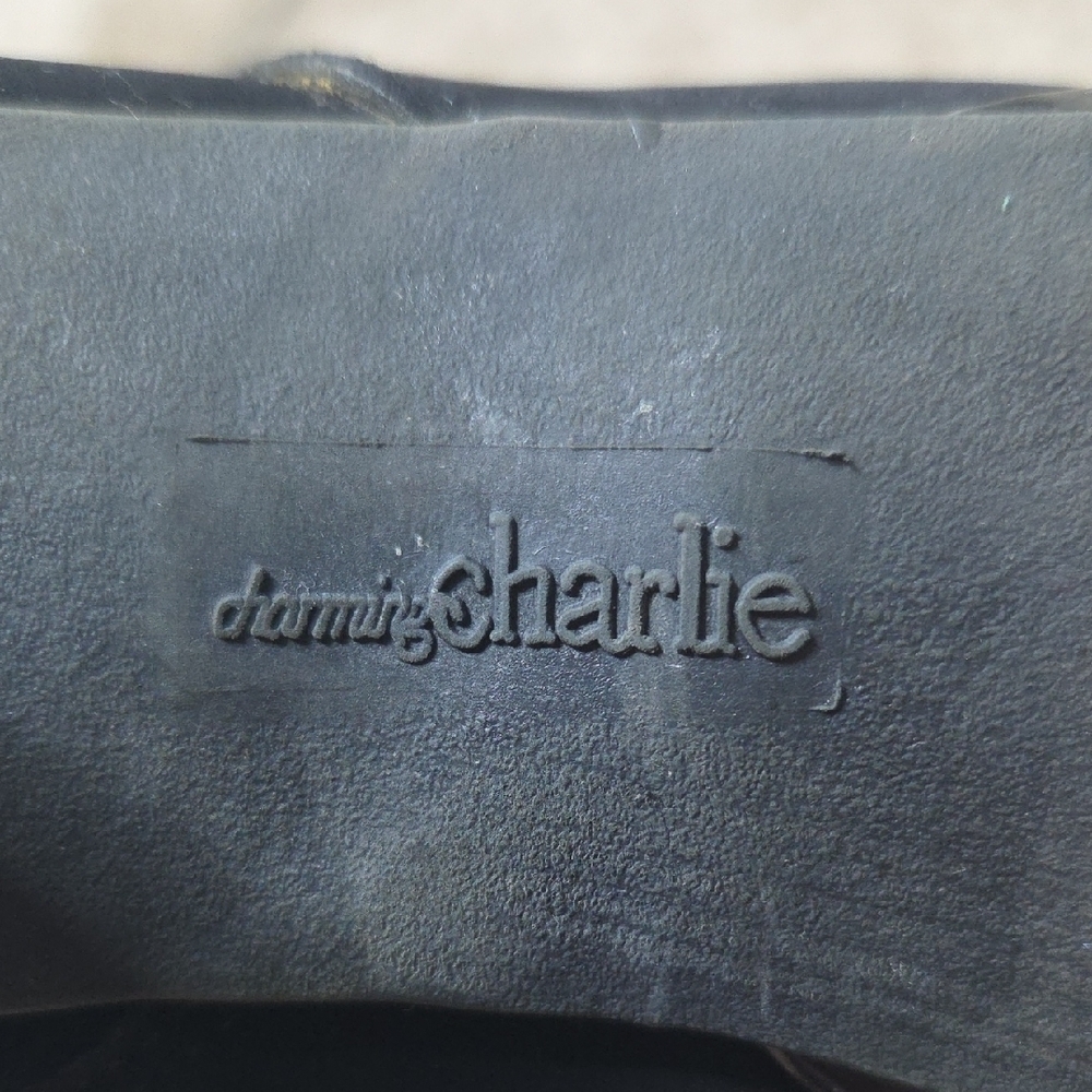 Charming Charlie Elegant Black Heeled Boots - Picture 2 of 5
